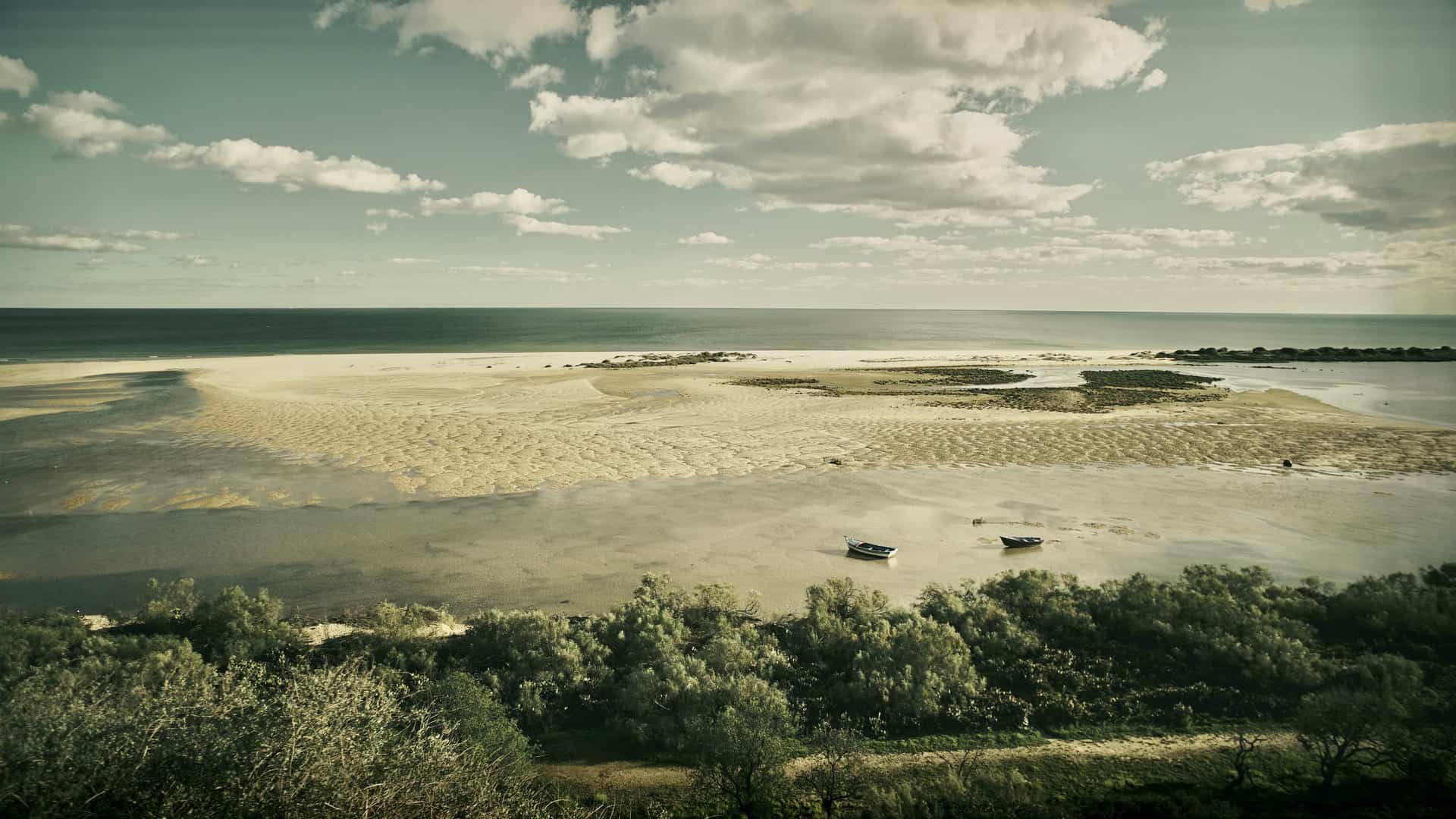 Cycling by Algarve's ria formosa